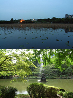 名所の継承・上野公園（M9） 近代公園・日比谷公園（M36）